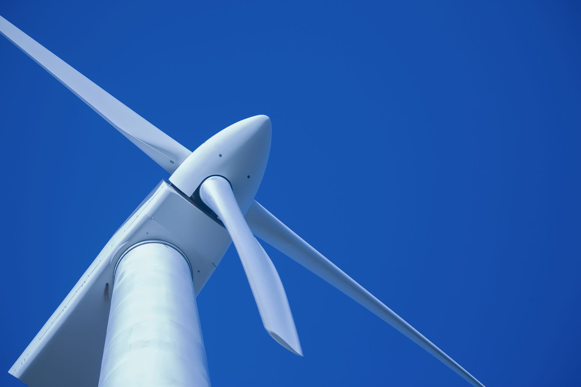 Sectors - Renewables