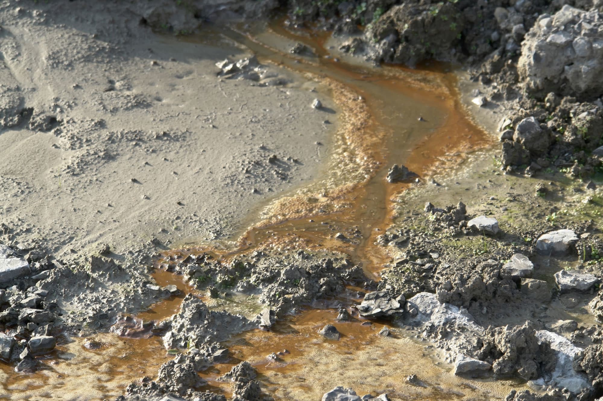Sectors - Contamination reduction image